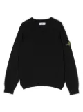 Stone Island Junior Compass-badge cotton jumper - Blue