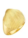 Cadar 18kt yellow gold Shell signet ring