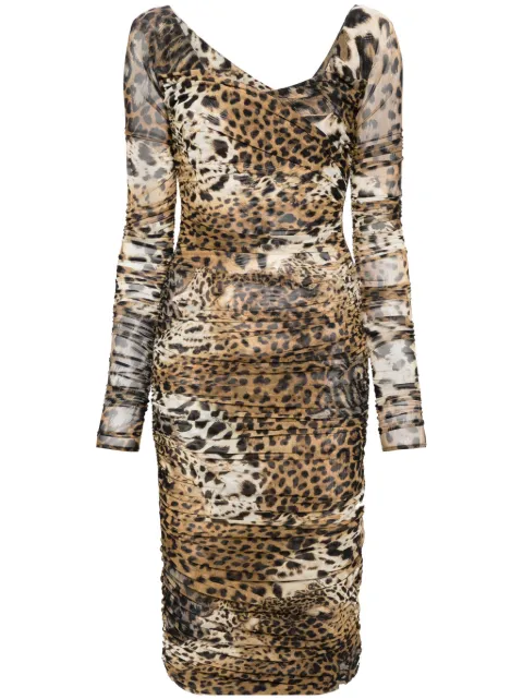 Roberto Cavalli vestido midi con estampado de leopardo