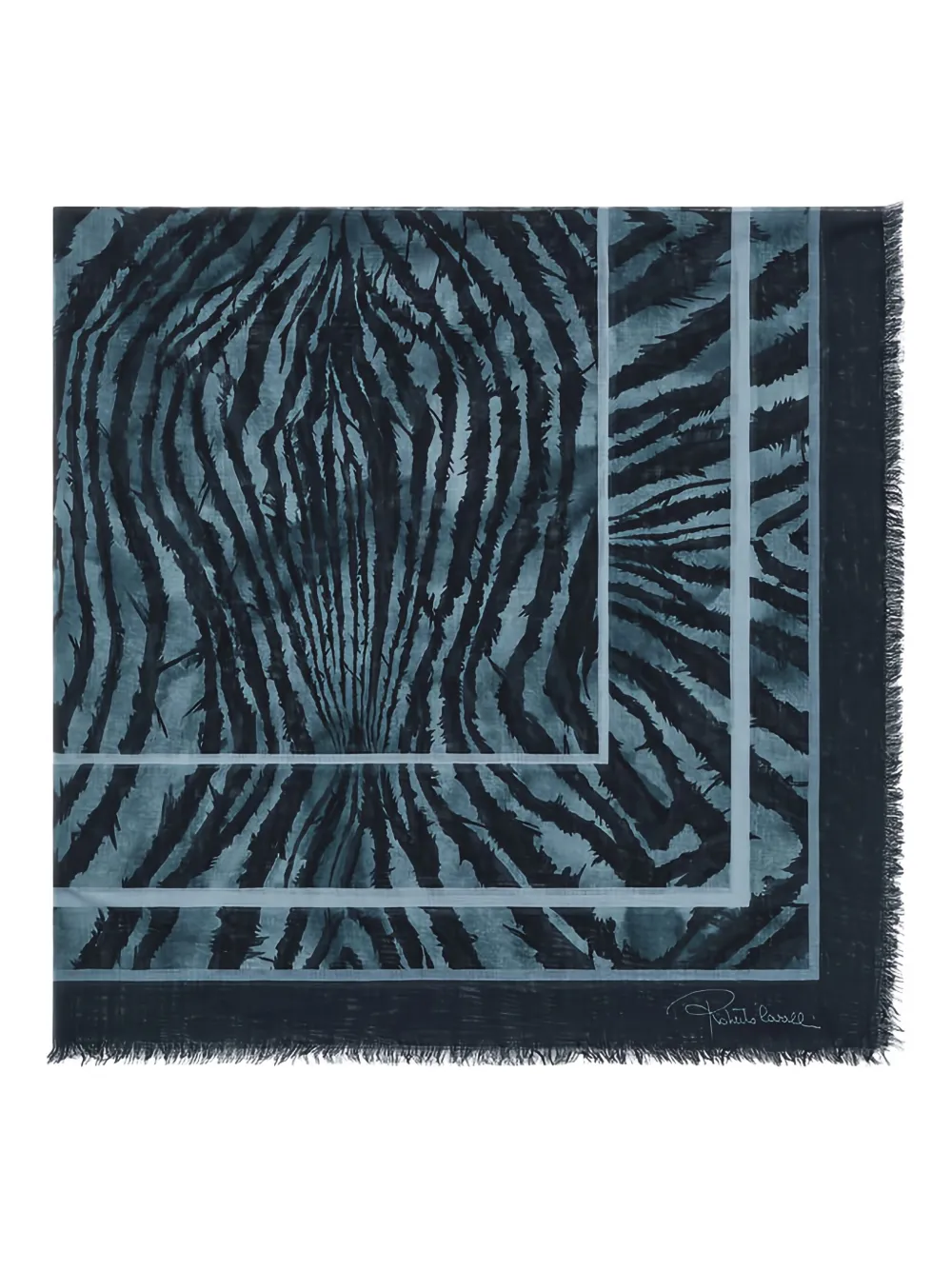 Roberto Cavalli fringed scarf | Blue | Image 1