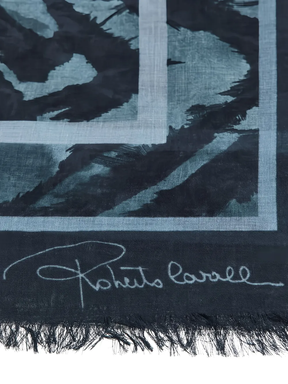 Roberto Cavalli fringed scarf - Blauw