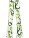 Roberto Cavalli straight-leg snake-print track pants - White