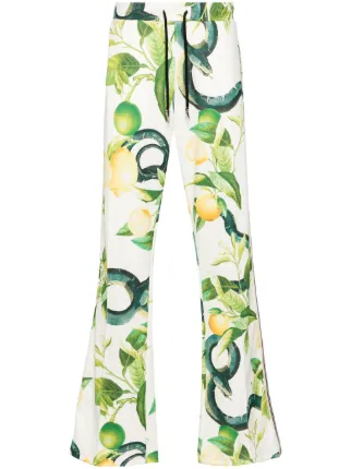 Roberto Cavalli