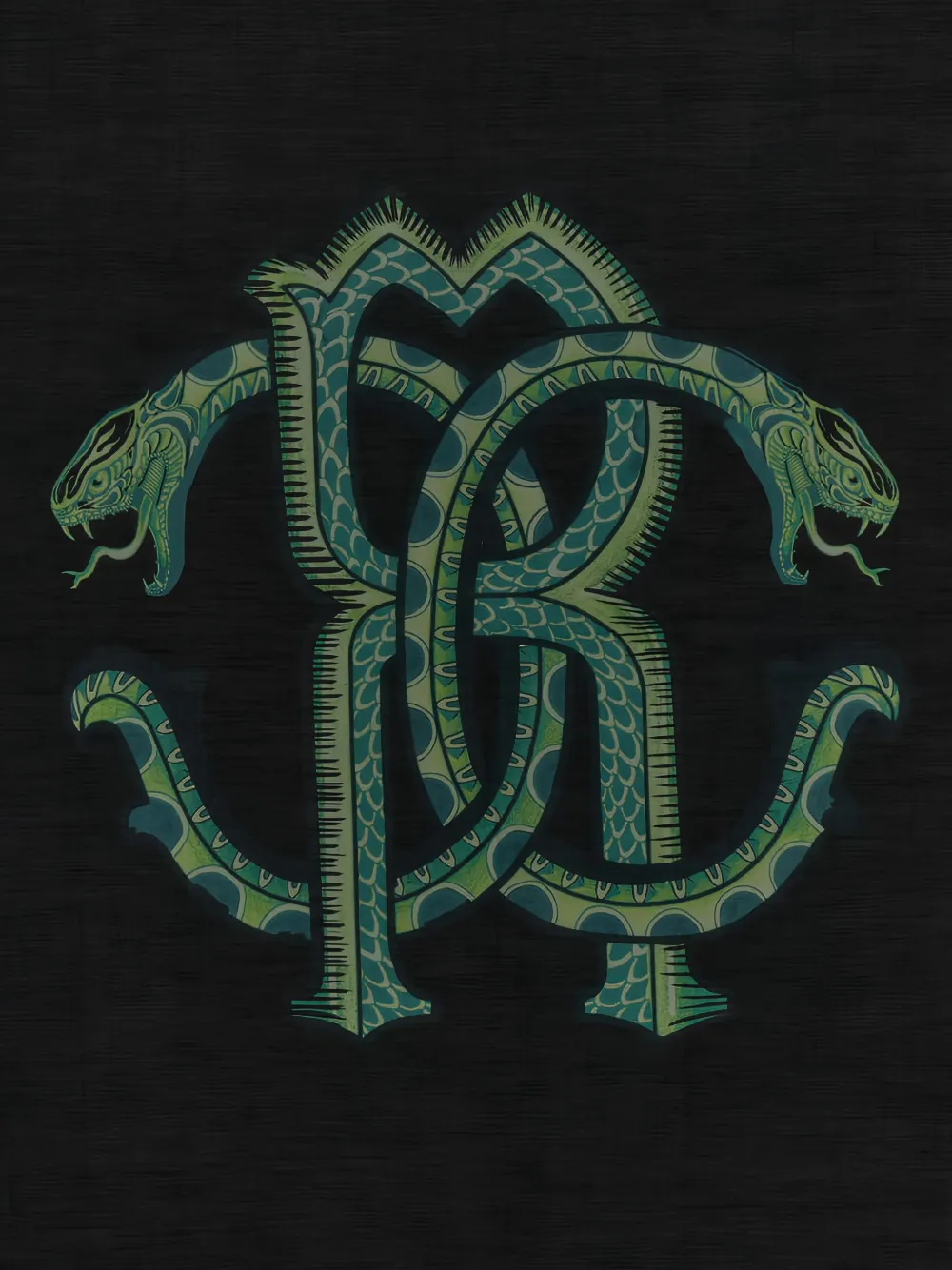 Roberto Cavalli snake-lemon-print scarf - Zwart