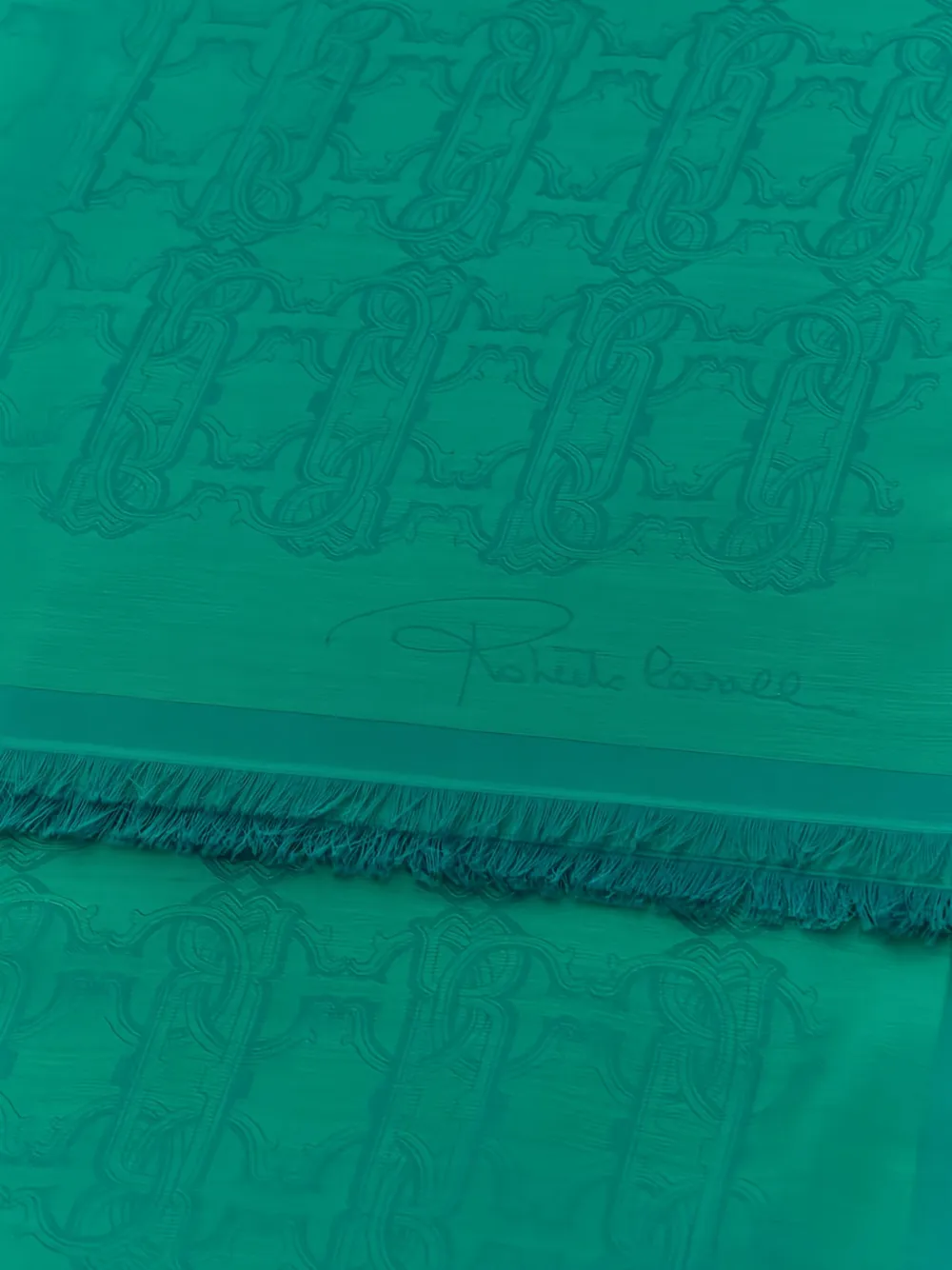 Roberto Cavalli fringed patterned scarf - Groen