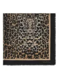 Roberto Cavalli leopard-print scarf - Brown