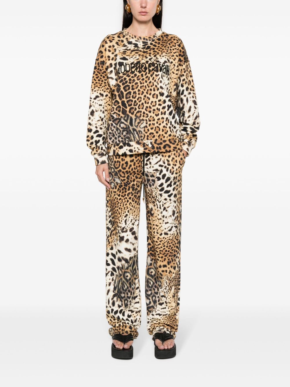 Shop Roberto Cavalli Jaguar Skin-print Cotton Sweatshirt In Neutrals