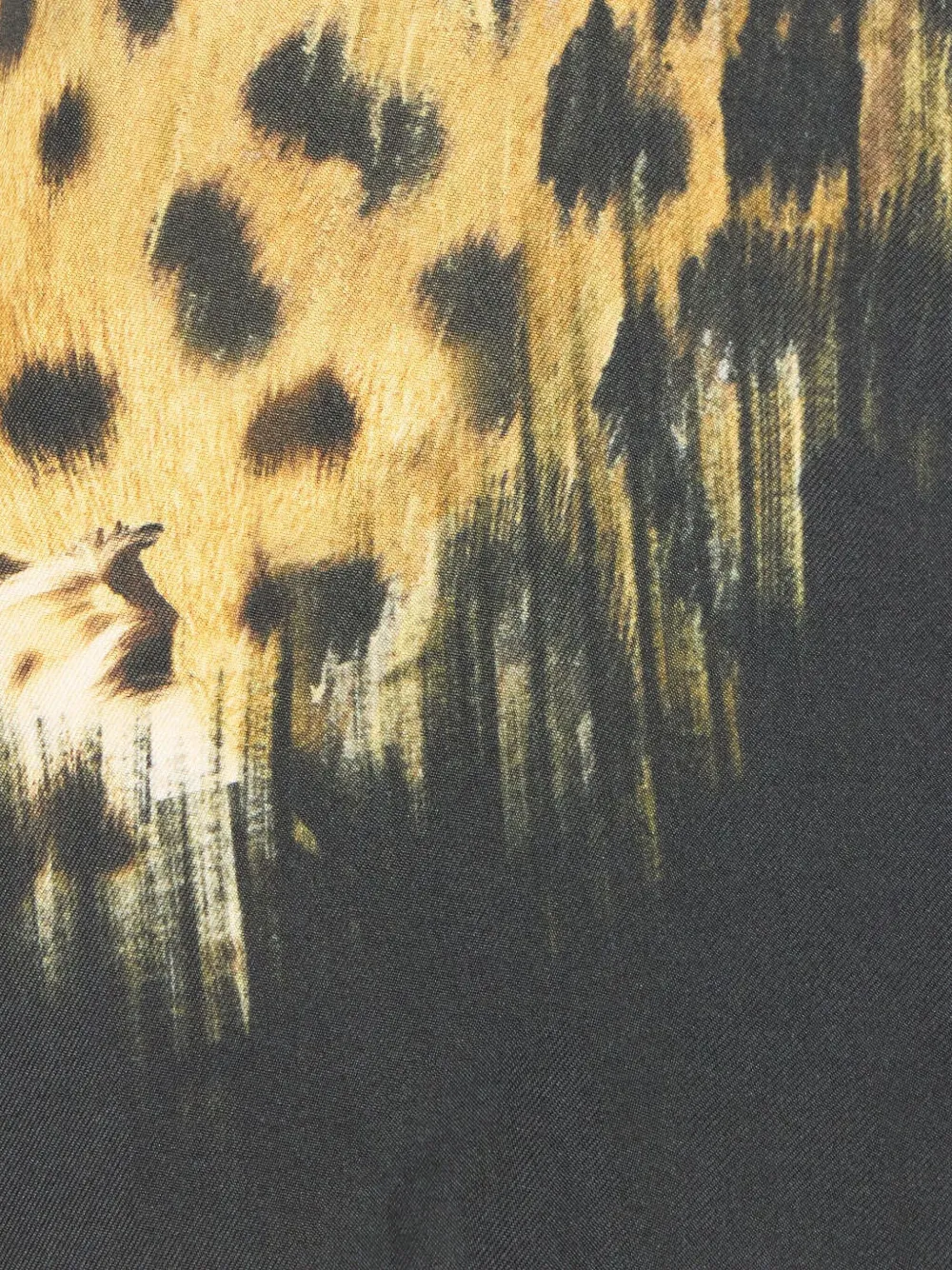 Roberto Cavalli Camicia leopardata | Image 7