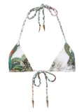 Roberto Cavalli jungle-print bikini top - Green