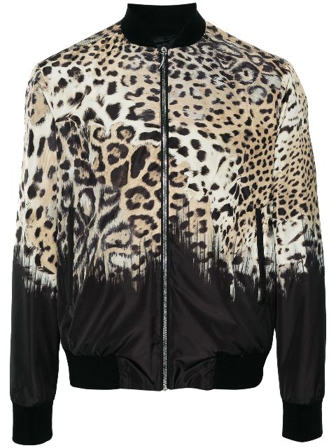 Roberto Cavalli Tiger Tooth-detailed leopard-print bomber jacket