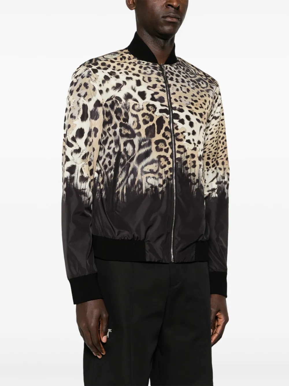  Roberto Cavalli Tiger Tooth-detailed Leopard-print Bomber Jacket - Neutrals 