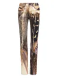 Roberto Cavalli feather-print slim trousers - Brown