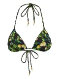 Roberto Cavalli lemon-print triangle bikini top - Black