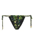 Roberto Cavalli lemon-print tie-side biquini bottom - Black