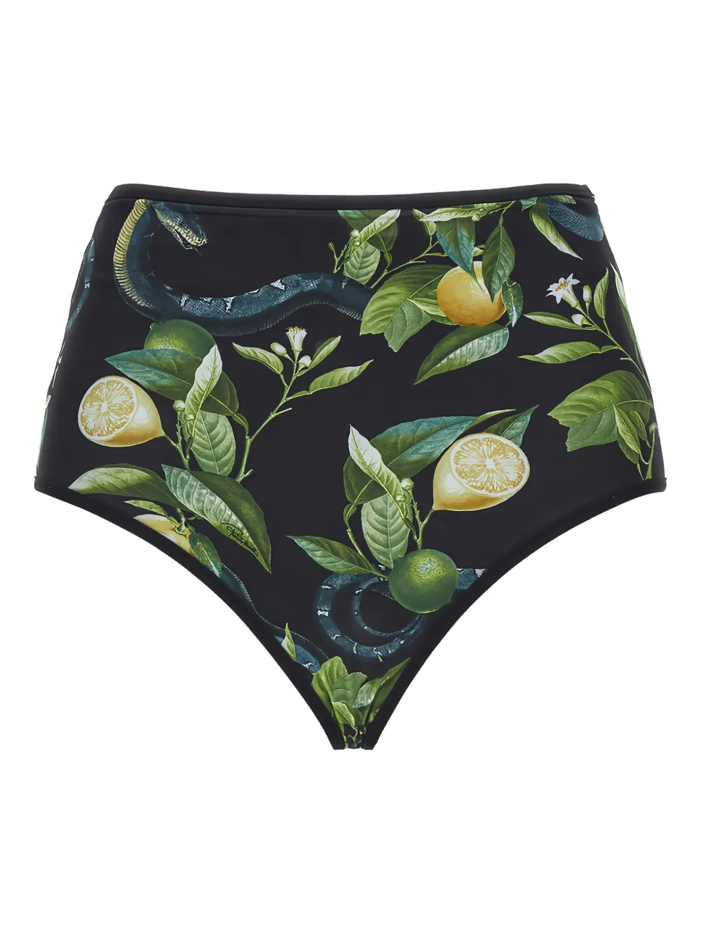 Roberto Cavalli lemon-print bikini button | Black | Image 1
