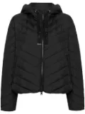 Woolrich chevron padded jacket - Black