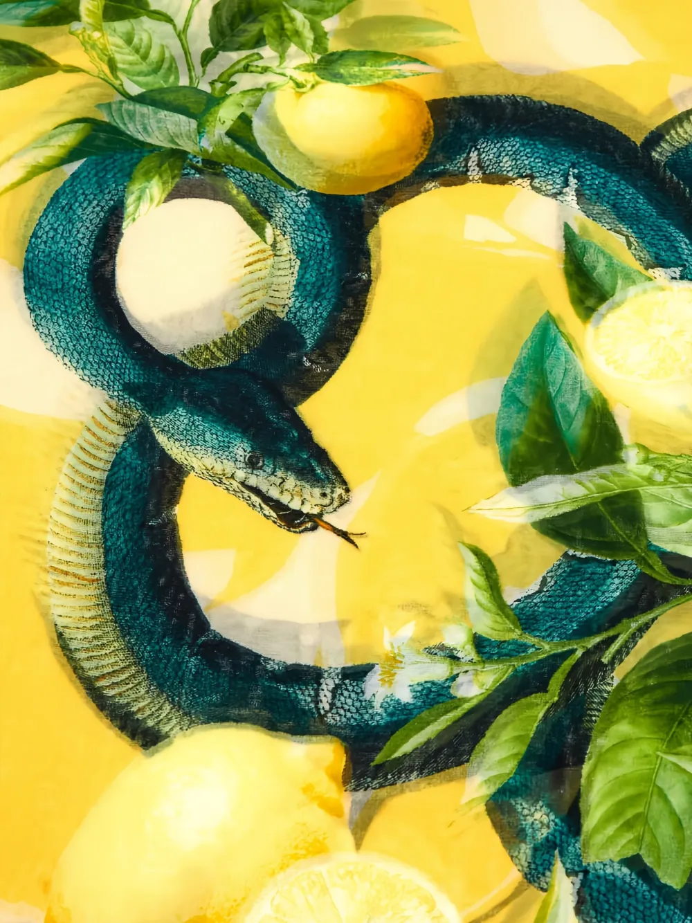 Roberto Cavalli Sjaal met citroenprint - Geel