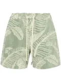 OAS Company Banana Leaf terry-cloth shorts - Green