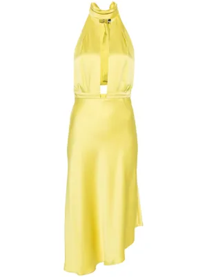 Elisabetta franchi 2024 long dress