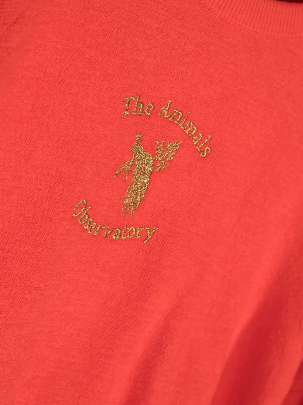 The Animals Observatory Sweater met print Rood