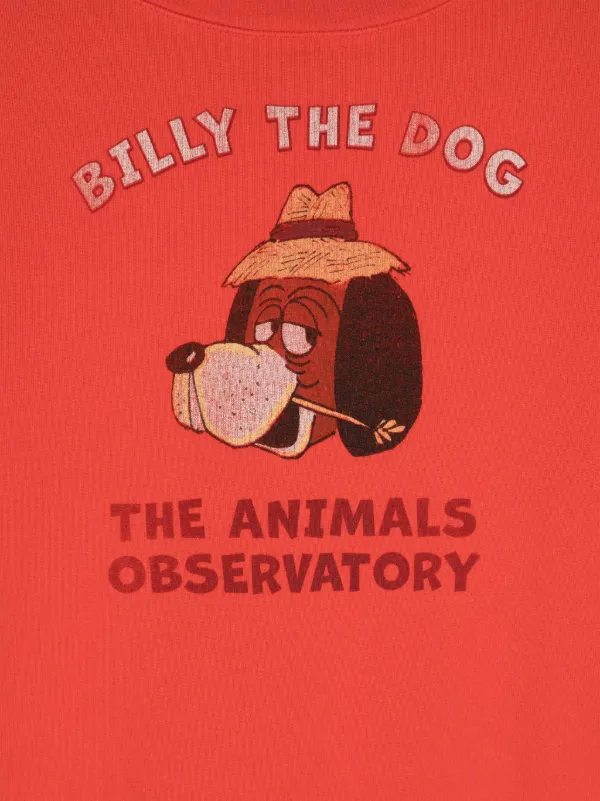 The Animals Observatory Bear Cotton Sweatshirt | Red | FARFETCH