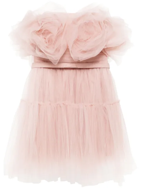 Ana Radu floral-appliqué tulle mini dress