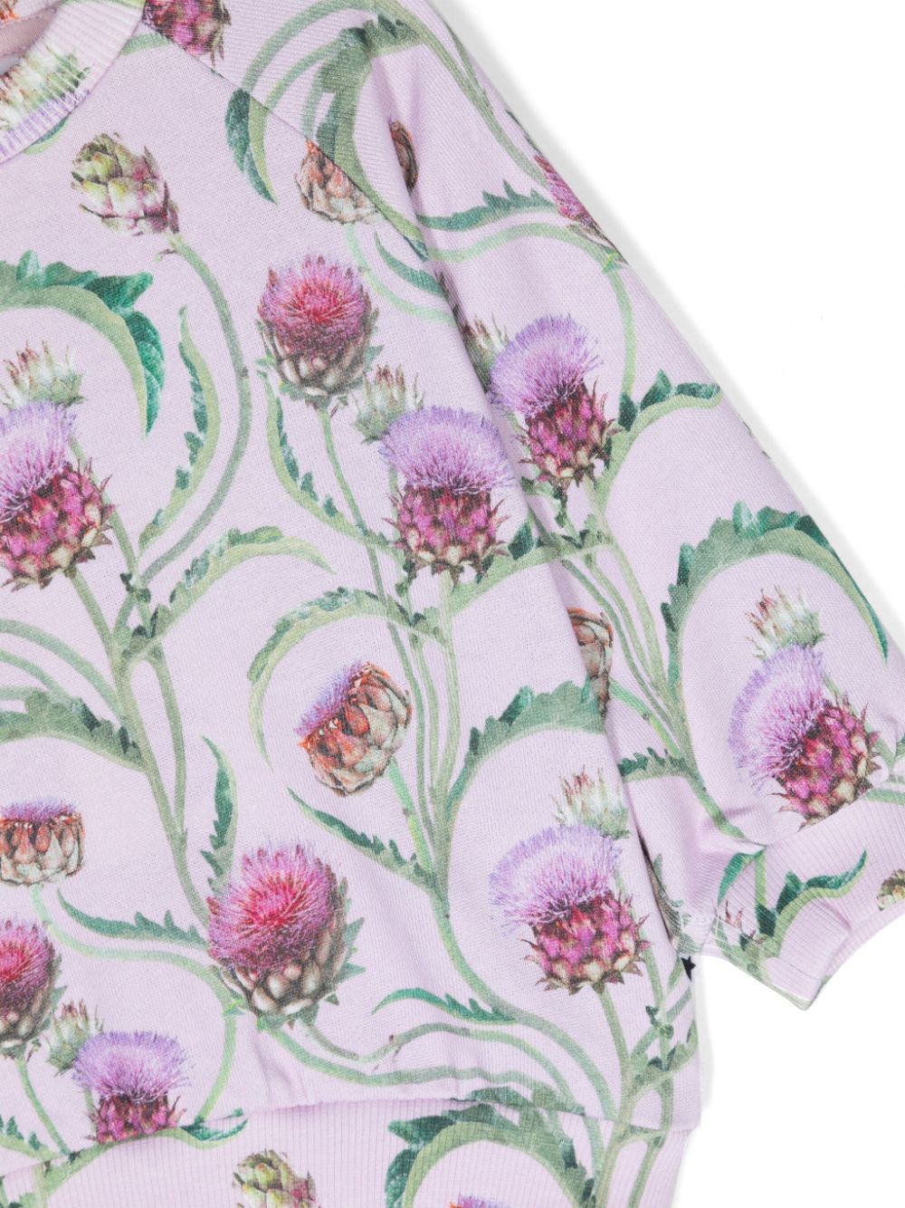 Shop Molo Disc Floral-print Sweatshirt In 粉色