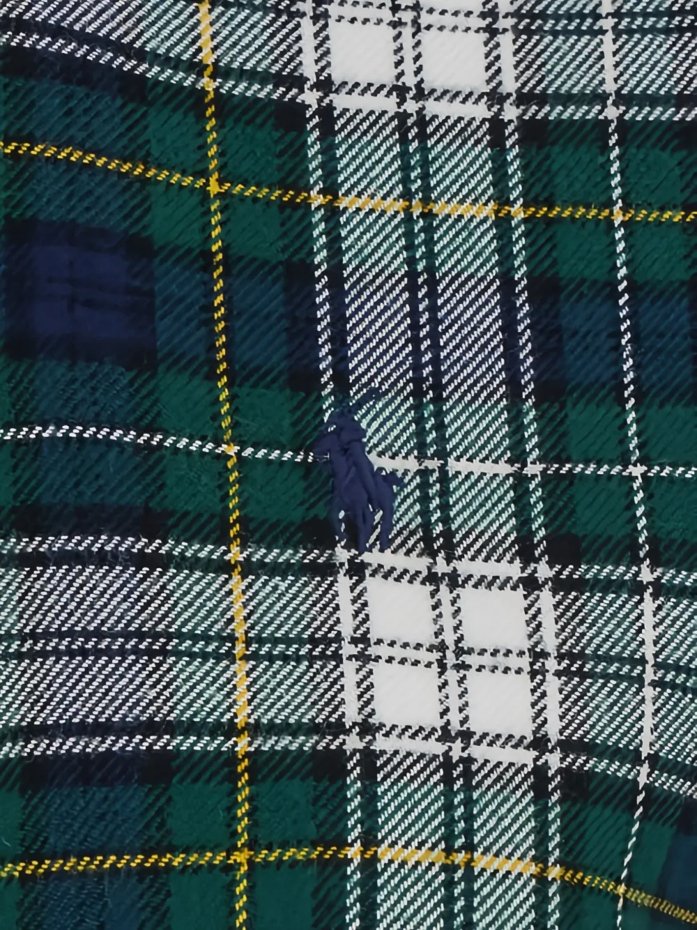 Polo Ralph Lauren Green Shirt With Pony On The Front And All-over Check Motif In Cotton Woman In Multi