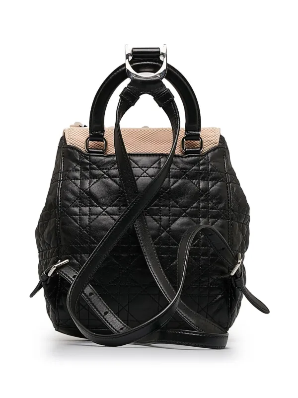 Dior store stardust backpack
