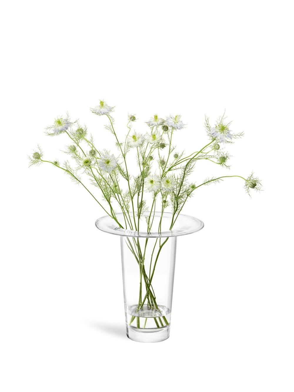 LSA INTERNATIONAL MEDIUM VICTORIA GLASS VASE (26CM X 24.7CM) 