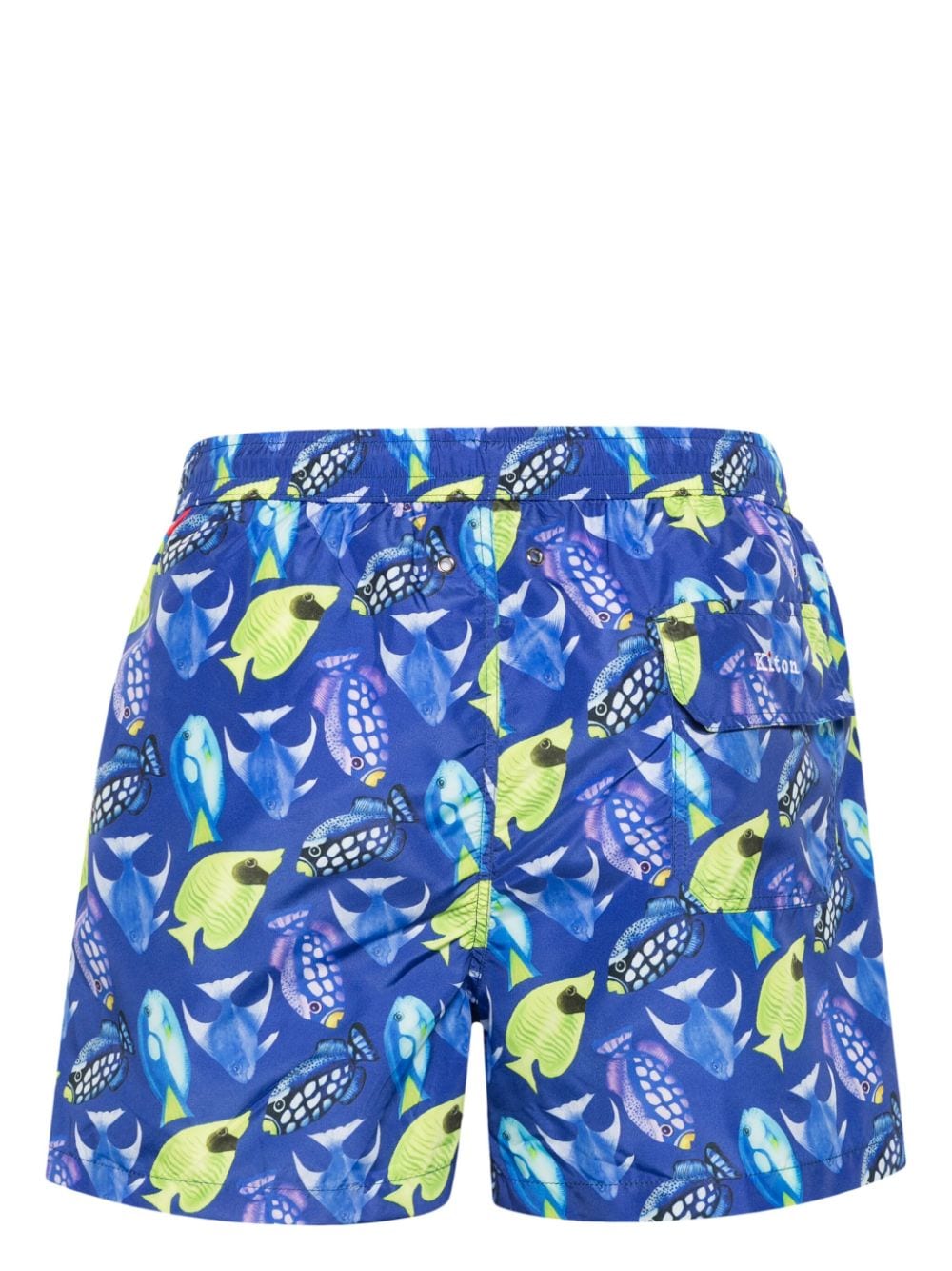 Shop Kiton Fish-print Swim Shorts In 蓝色