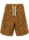 Palm Angels leopard-print poplin shorts - Orange
