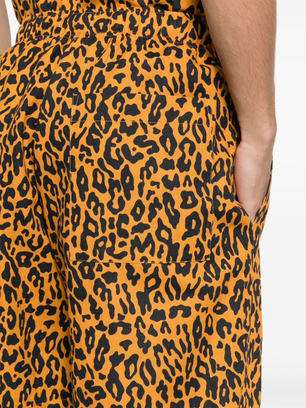 Shop Palm Angels Leopard-print Poplin Shorts In Orange