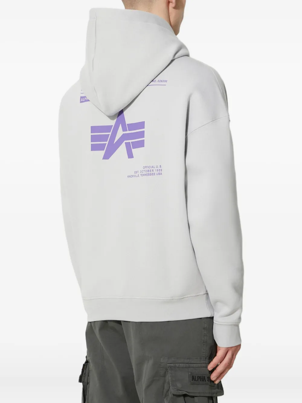Alpha Industries Logo Backprint Hoodie In Gray