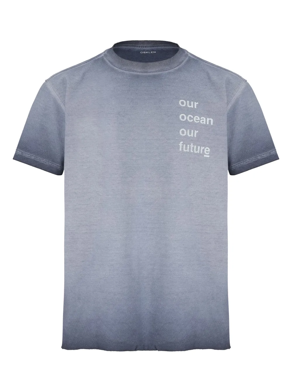 Osklen Double Watercolour Fish T-shirt Blauw