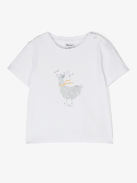 Knot playera Quack