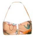 Raquel Diniz palm tree-print bikini top - Neutrals