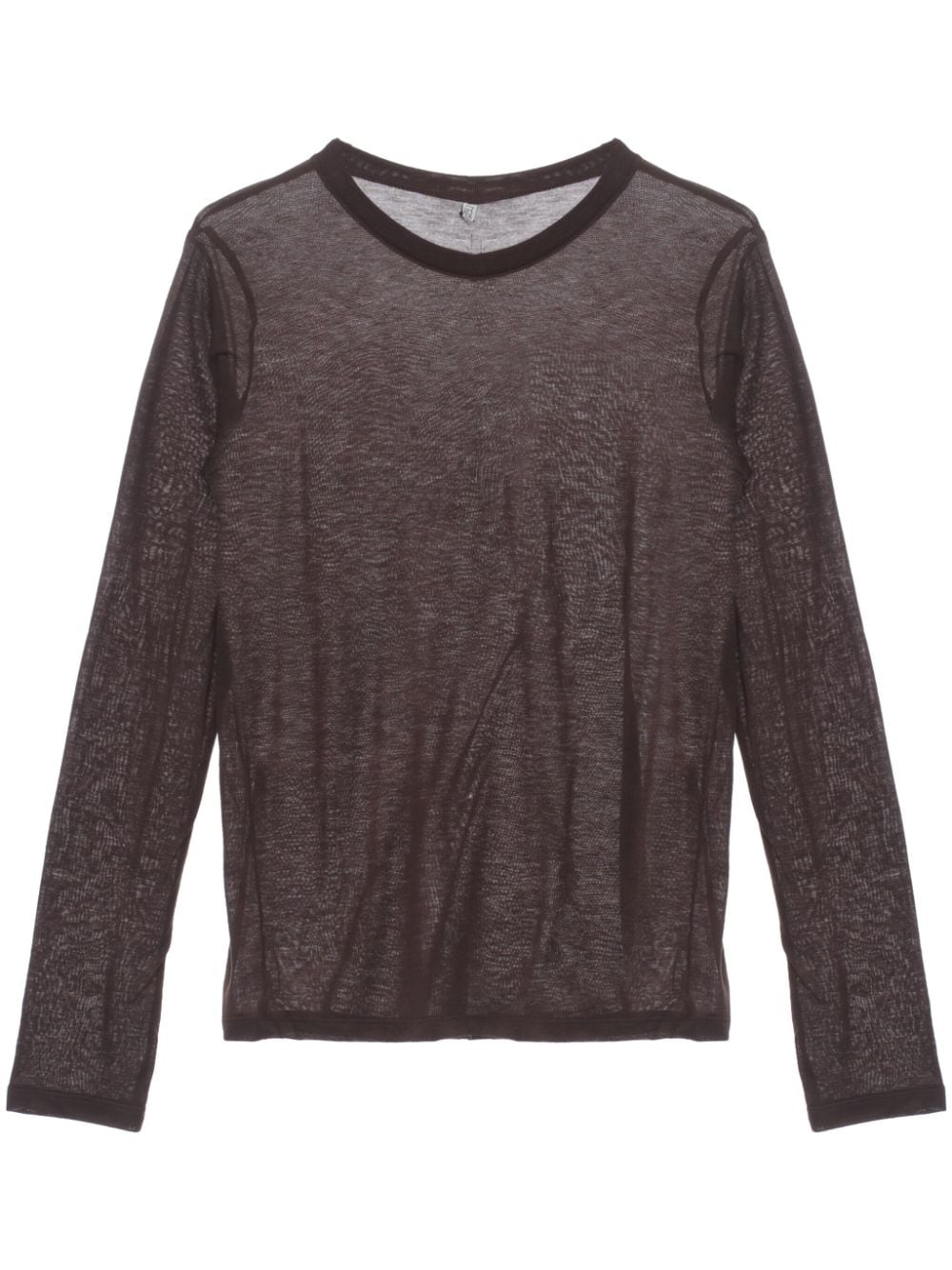 Baserange Semi-sheer Long-sleeve T-shirt In 褐色