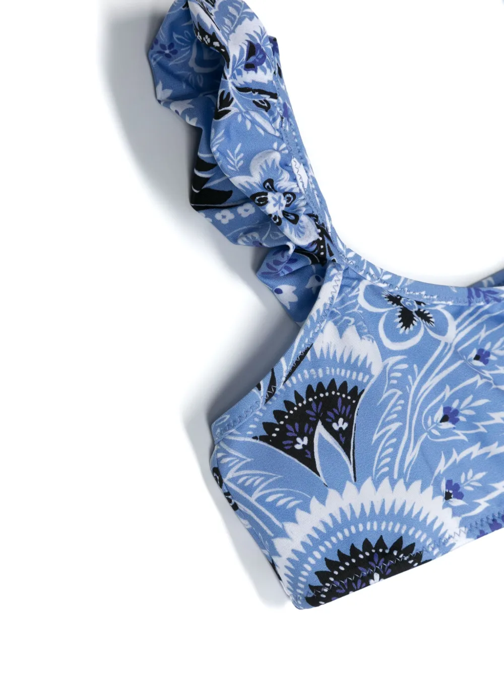 Shop Etro Floral-print Bikini In Blue