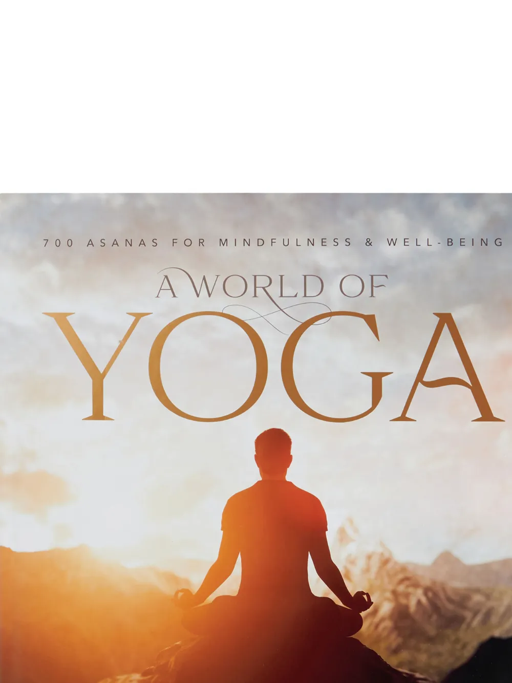 Rizzoli A World Of Yoga By Leo Lourdes Hardcover Book In Orange