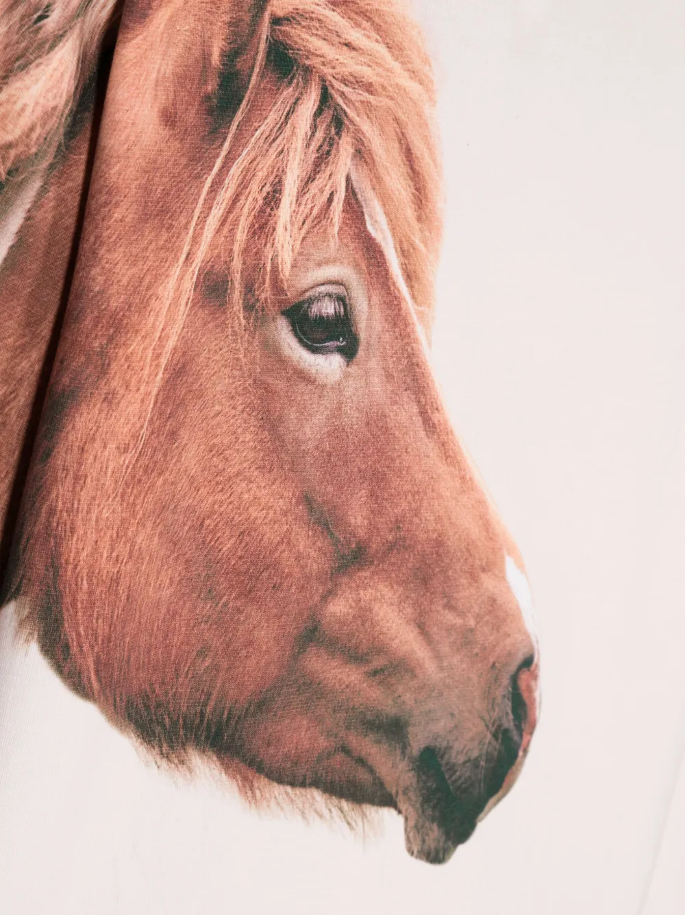 Molo Mountoo sweater met ponyprint Beige