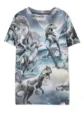 Molo Ralphie Dino Verse T-shirt - Blue