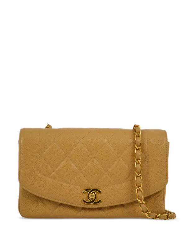 CHANEL Pre-Owned 1995 Small Diana Shoulder Bag Neutrals