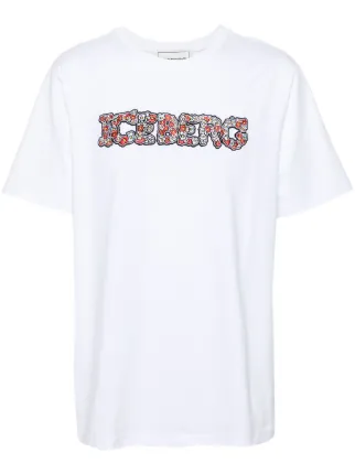 Iceberg