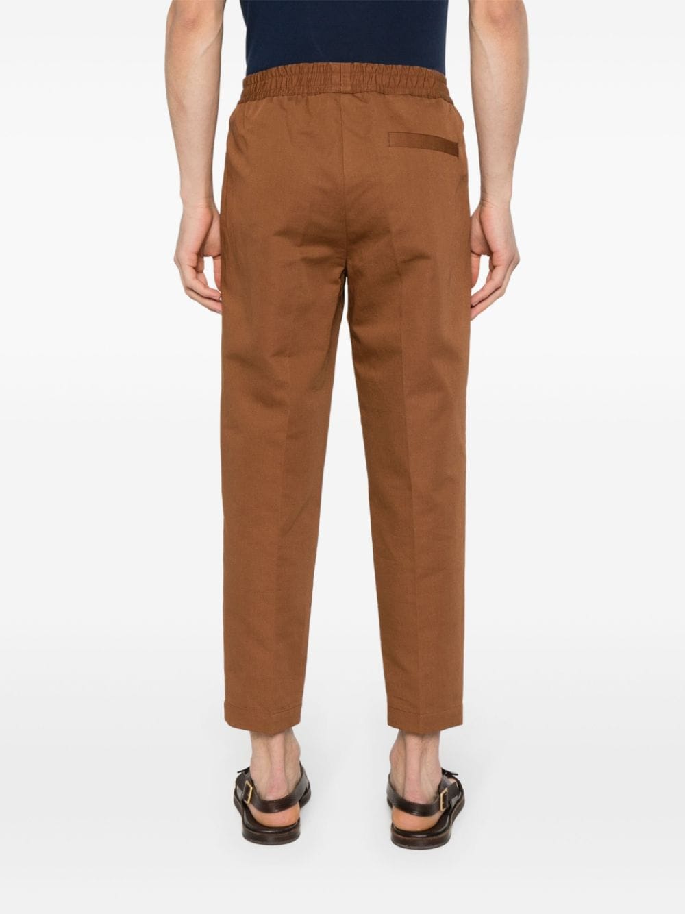 Shop Briglia 1949 Savoys Tapered Trousers In Brown