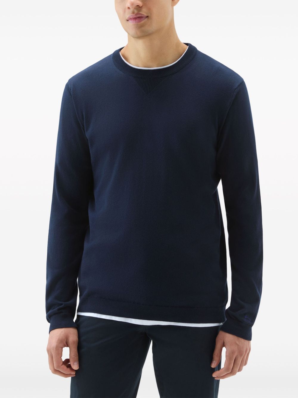 Shop Woolrich Logo-embroidered Cotton Jumper In 蓝色