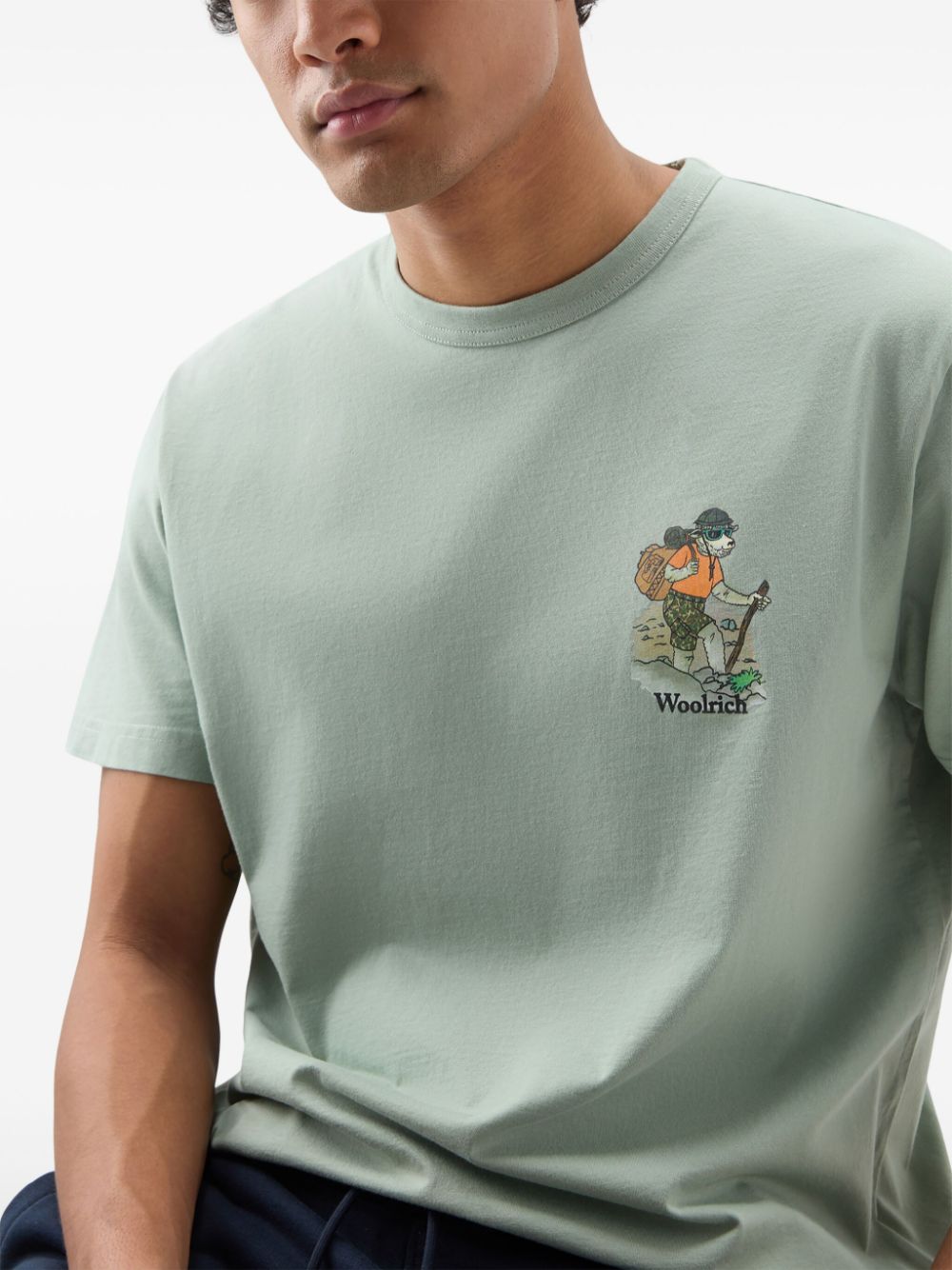 Woolrich Katoenen T-shirt met grafische print Groen