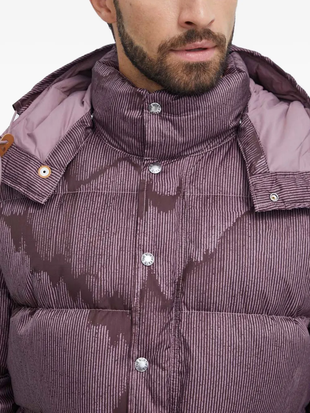The North Face Gestreept jack Paars