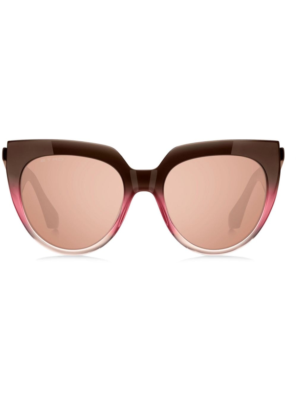 Etro Tailoring 猫眼框太阳眼镜 In Brown