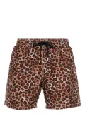 MC2 Saint Barth Gustavia animalier-print swim shorts - Brown